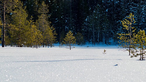 Shiny snow ©  Egor Plenkin