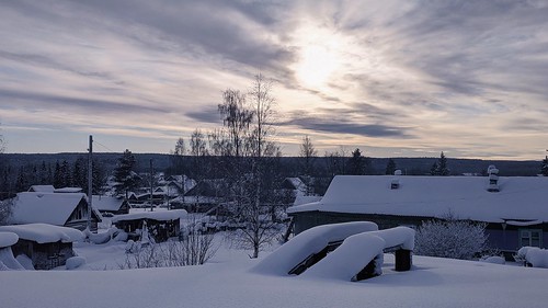 Morning after snowfall ©  Egor Plenkin