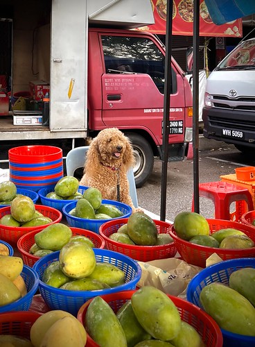 Wednesday market, Bukit Indah, Johor Bahru, Johor, Malaysia ©  Sharon Hahn Darlin