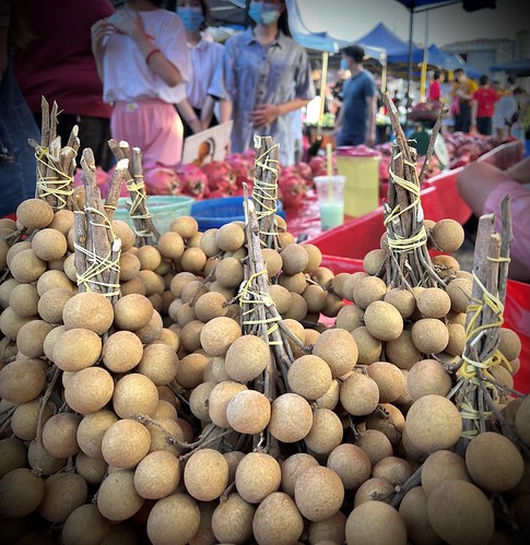Wednesday market, Bukit Indah, Johor Bahru, Johor, Malaysia ©  Sharon Hahn Darlin