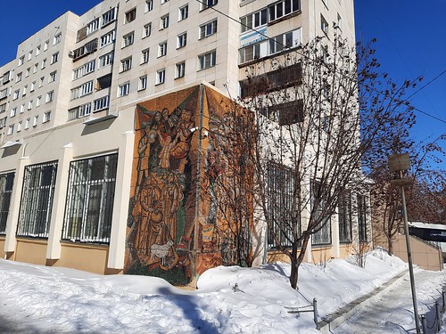 Библиотека башкирской и татарской литературы в Челябинске 2022-03-13 01 ©  ArtVasPhotos29