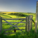 South Downs Gate