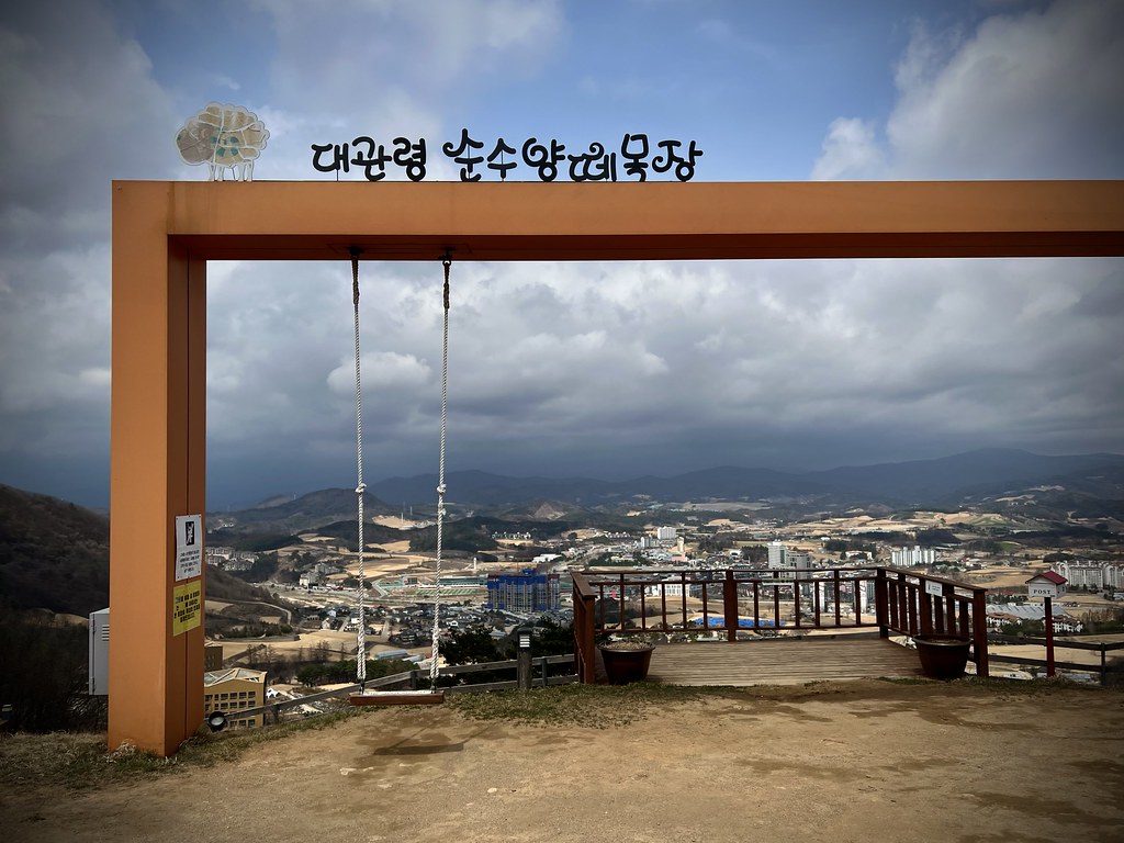 :   Daegwallyeong Sunsu Sheep Ranch, Pyeongchang-gun, Gangwon-do, South Korea