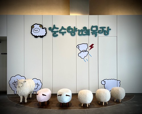   Daegwallyeong Sunsu Sheep Ranch, Pyeongchang-gun, Gangwon-do, South Korea ©  Sharon Hahn Darlin