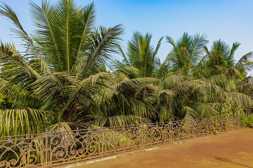 Hanging Gardens, Mumbai, India ©  Ninara