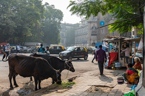 Streets of Mumbai ©  Ninara