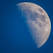 La Lune / The Moon [2023.04.27 - 19h14]