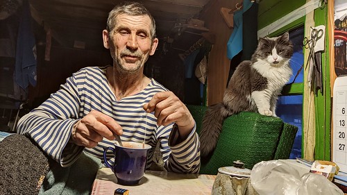 Evening with a cat ©  Egor Plenkin