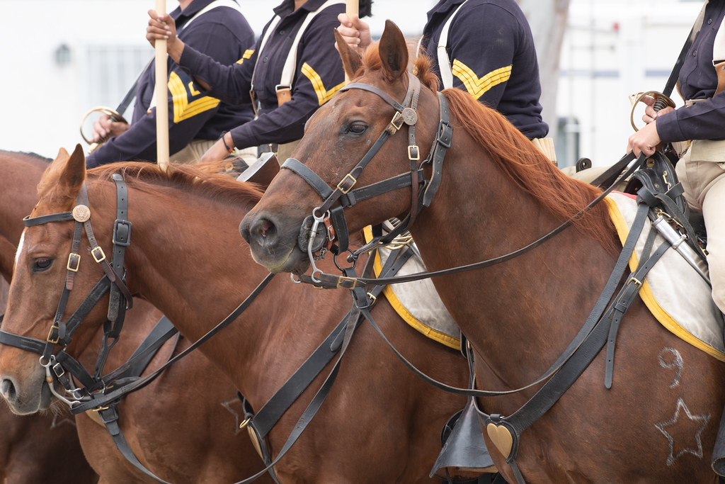 : United States Horse Detachment