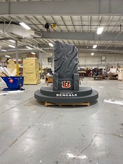 Foam3D™ | Cincinnati Bengals