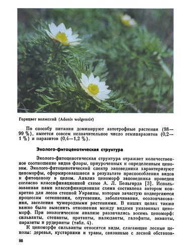   -   (1988) 0086 ScanTailor600-PAPER300 ©  Alexander Volok