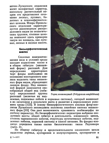    -   (1988) 0081 ScanTailor600-PAPER300 ©  Alexander Volok