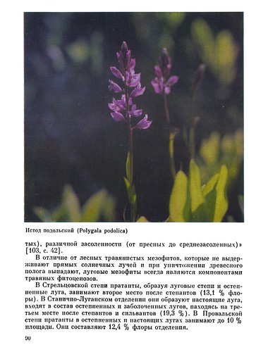    -   (1988) 0090 ScanTailor600-PAPER300 ©  Alexander Volok