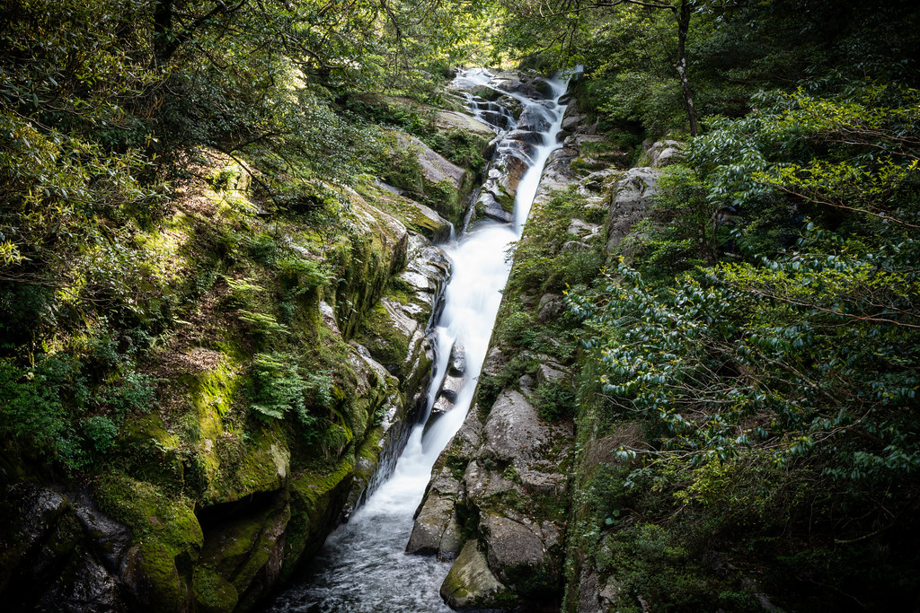 : Yakushima waterfall