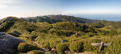 Yakushima mountain panorama ©  Raita Futo