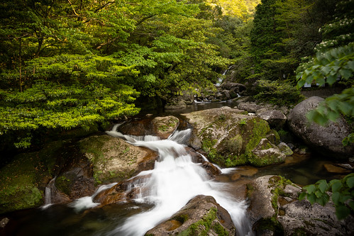 Yakushima mountain river ©  Raita Futo