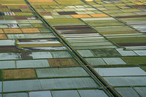 Aso Rice fields ©  Raita Futo