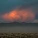 Sunset Dust Storm