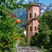 Torre del Belvedere in Levico Terme - 1059