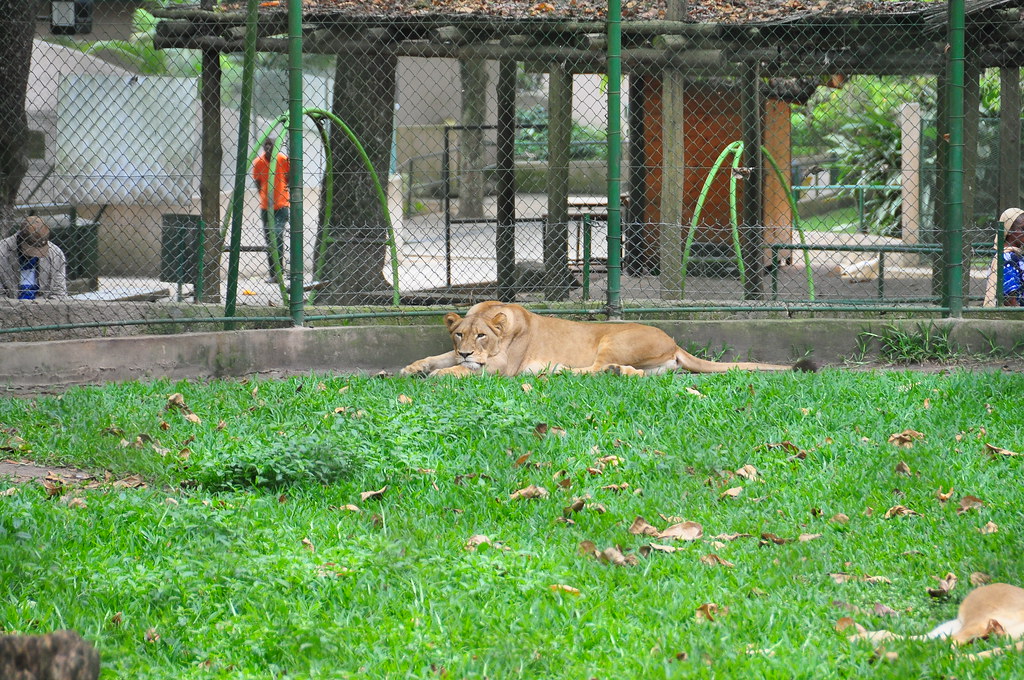 : Zoo d'Abidjan
