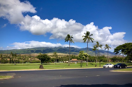 Lahaina, Maui, Hawaii (June 2019) ©  Sharon Hahn Darlin