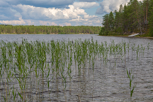 Kuusamo, Finland ©  Ninara