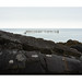 Bay of Fundy Herring Weir IX