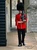 Windsor Castle Soldier