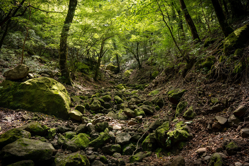 : Mount Amagi trail