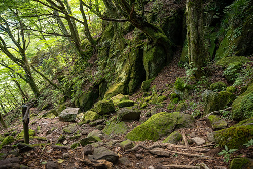 Mount Amagi trail ©  Raita Futo