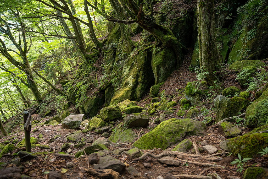 : Mount Amagi trail
