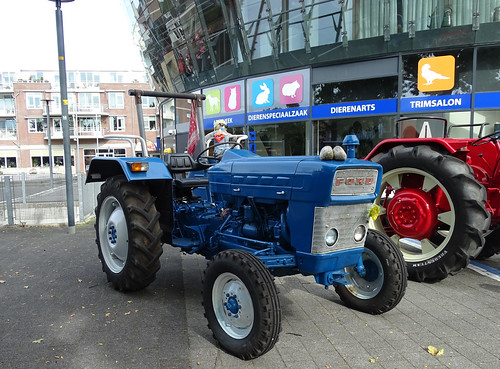 Ford Tractor ©  peterolthof
