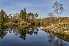 Tarn Hows Reflections
