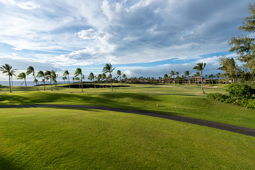 Waikoloa Golf Course ©  Raita Futo