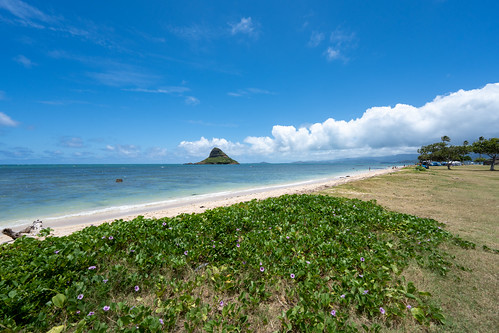 Kualoa beach ©  Raita Futo