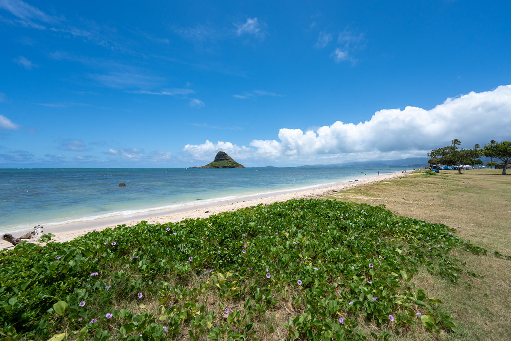 : Kualoa beach