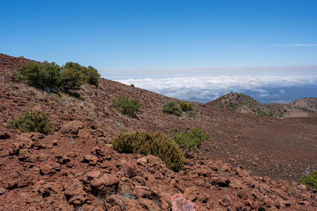 : Mauna Kea landcapes
