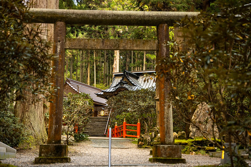 Oiwa Shrine Torii ©  Raita Futo