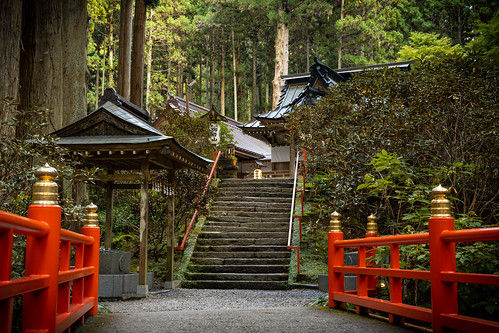 Oiwa Shrine ©  Raita Futo
