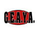 geaya_logo_web 300x183 fb