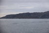Pictures from Fiord Safari Boat Tour Excursion (Nuuk, Greenland) - September 20th, 2023 - Jewel of the Seas 14 Night Cruise to Greenland (Favorites)