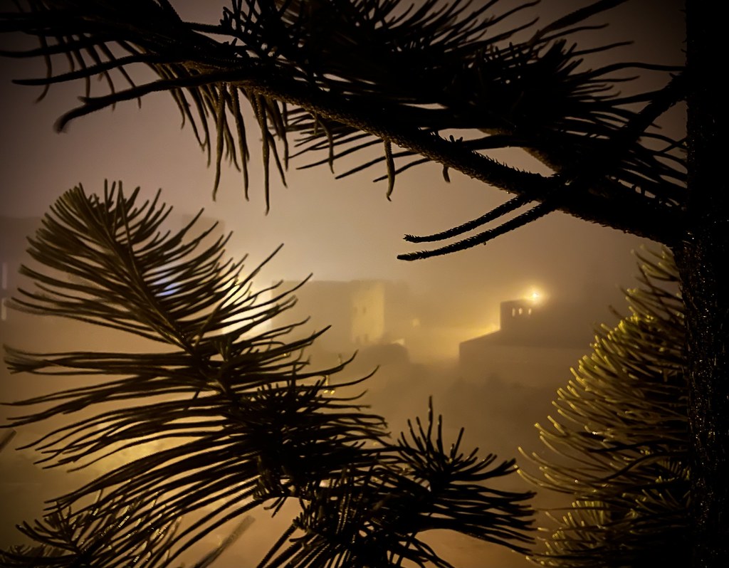 фото: A foggy Moroccan November evening (cool 19°C / 66°F), Oualidia, Casablanca-Settat region, Morocco 