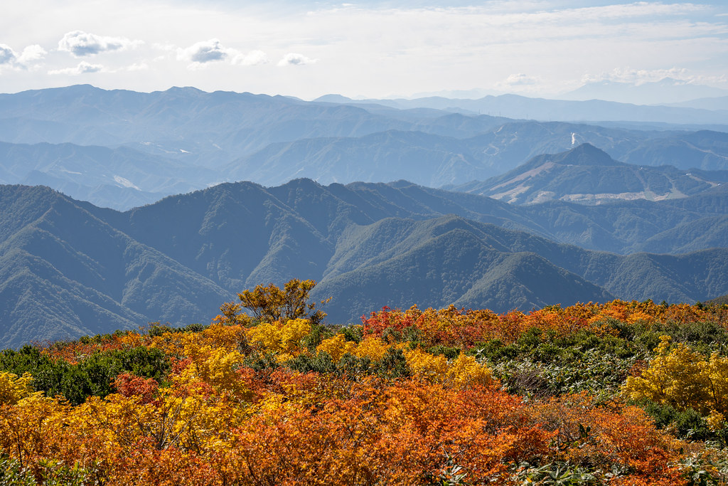 : Makihata autumn