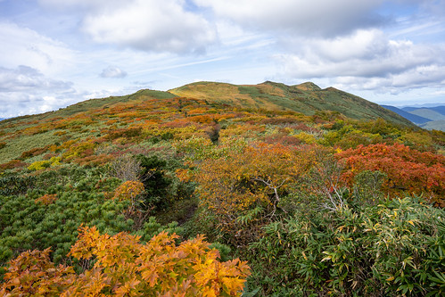 Akita autumn mountains ©  Raita Futo