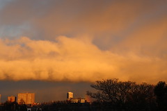 Yellow Cloud,Aberdeen_nov 23_22586