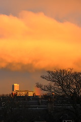 Yellow Cloud,Aberdeen_nov 23_22590