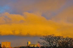 Yellow Cloud,Aberdeen_nov 23_22587