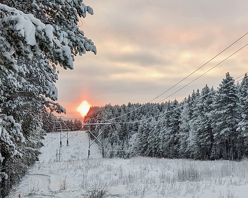 Sun in the cold ©  Egor Plenkin