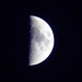 First Quarter Moon Tonight [EXPLORED]