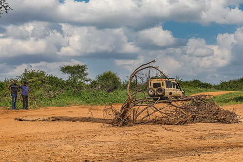 Samburu, Kenya ©  Ninara